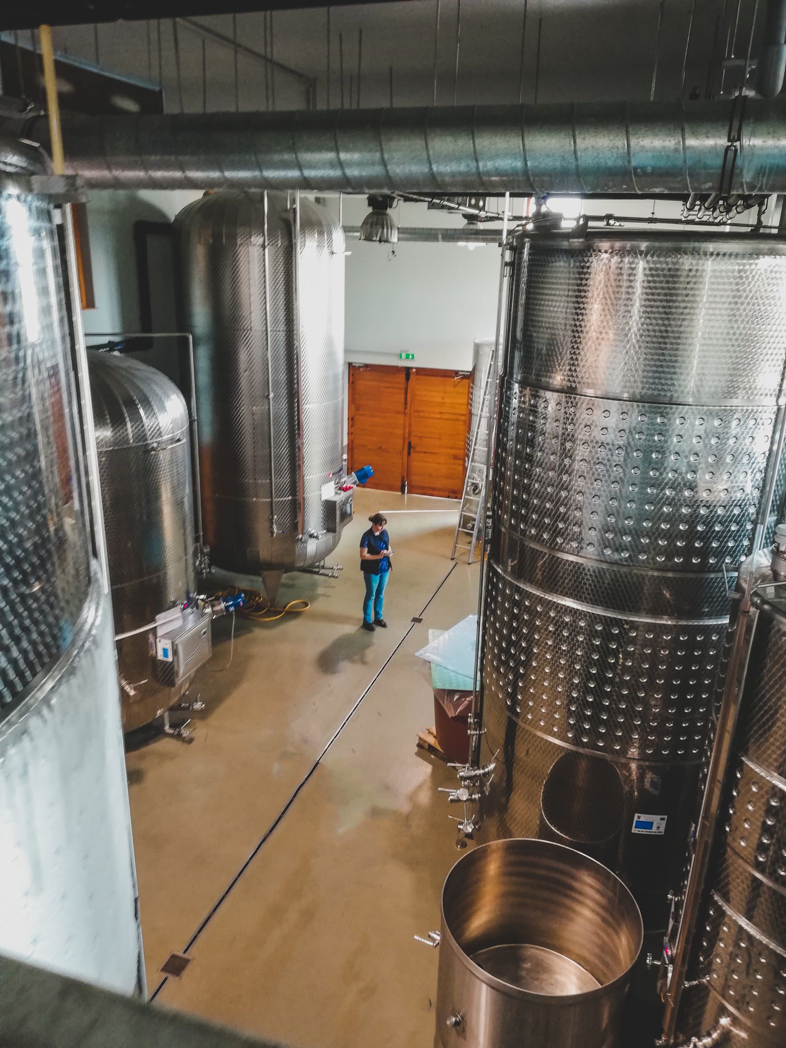 Moderne Weinkellerei mit großen Edelstahltanks und einer Mitarbeiterin